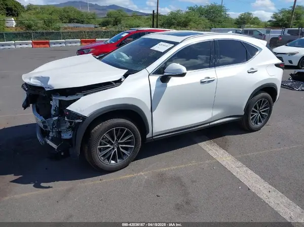 JTJGDCAZ2S2020658 2025 LEXUS NX - Image 2