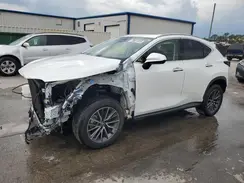JTJGDCAZ3R5019463 2024 LEXUS NX