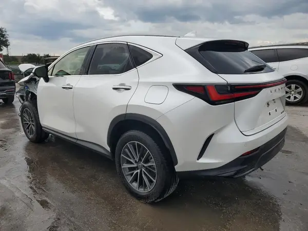 JTJGDCAZ3R5019463 2024 LEXUS NX - Image 2