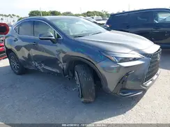 JTJGDCAZ5R2013892 2024 LEXUS NX