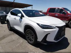 JTJGDCAZ5R5017522 2024 LEXUS NX