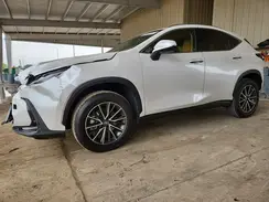 JTJGDCAZ6R5021501 2024 LEXUS NX