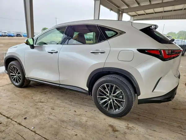 JTJGDCAZ6R5021501 2024 LEXUS NX - Image 2