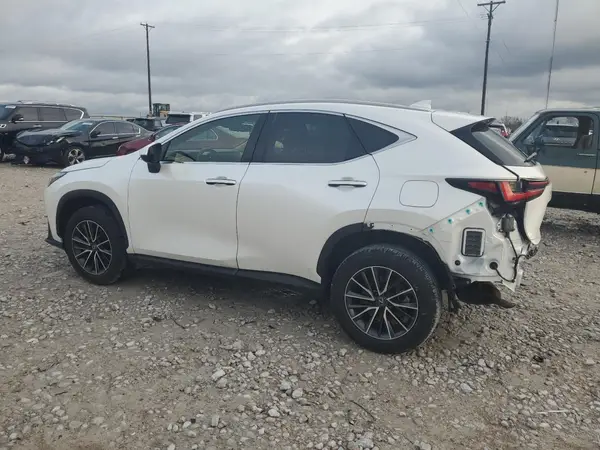 JTJGDCAZ7R5013598 2024 LEXUS NX - Image 2