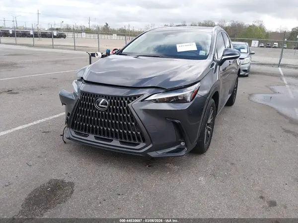 JTJGDCAZ8N5005083 2022 LEXUS NX - Image 2