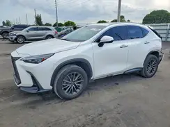 JTJGDCAZ8P5010142 2023 LEXUS NX