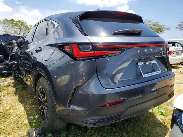 JTJGDCAZ8R2010534 2024 LEXUS NX - Image 2