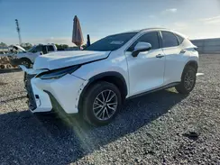JTJGDCAZXP5010322 2023 LEXUS NX
