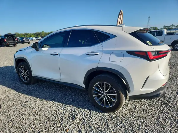 JTJGDCAZXP5010322 2023 LEXUS NX - Image 2