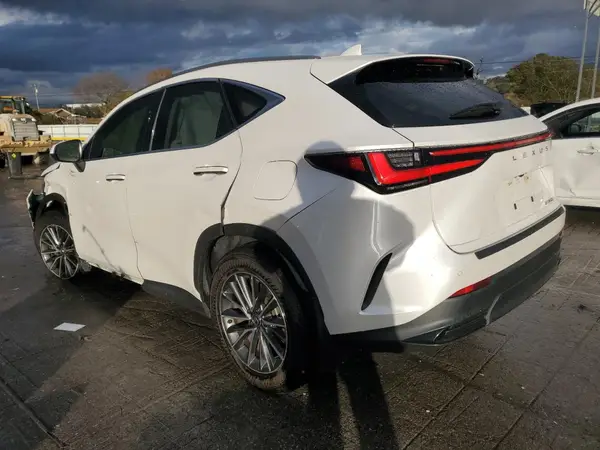 JTJGDCAZXR5016818 2024 LEXUS NX - Image 2