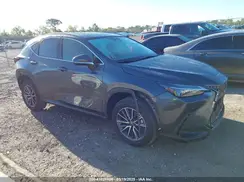 JTJGDCAZXR5020805 2024 LEXUS NX