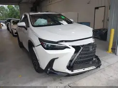 JTJGDCAZXS2022741 2025 LEXUS NX