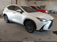 JTJGDCEZ5N2000774 2022 LEXUS NX
