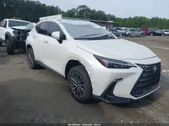 JTJGGCEZ0R2014353 2024 LEXUS NX