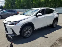 JTJGGCEZ0R5005876 2024 LEXUS NX
