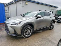 JTJGGCEZ0S2024659 2025 LEXUS NX