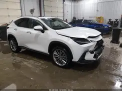 JTJGGCEZ1N5003936 2022 LEXUS NX