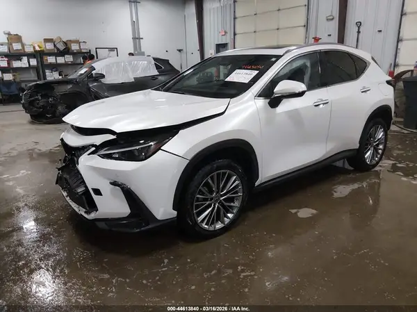 JTJGGCEZ1N5003936 2022 LEXUS NX - Image 2