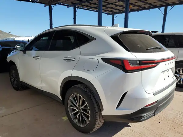 JTJGGCEZ1R5006910 2024 LEXUS NX - Image 2