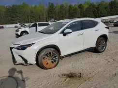 JTJGGCEZ1S2024640 2025 LEXUS NX