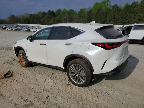 JTJGGCEZ1S2024640 2025 LEXUS NX - Image 2