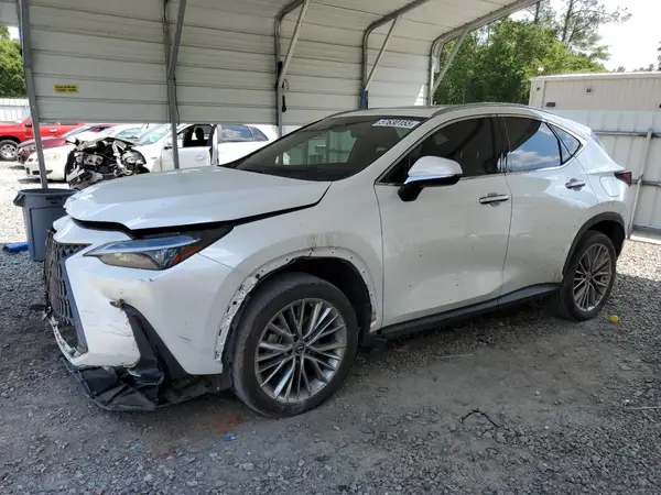 JTJGGCEZ2N5001032 2022 LEXUS NX - Image 1