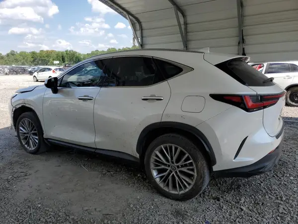 JTJGGCEZ2N5001032 2022 LEXUS NX - Image 2