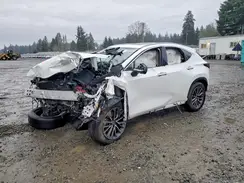 JTJGGCEZ2R2016282 2024 LEXUS NX