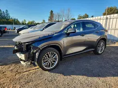 JTJGGCEZ3N2004202 2022 LEXUS NX