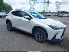 JTJGGCEZ3R5009923 2024 LEXUS NX