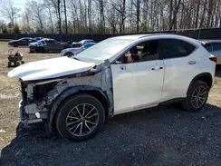 JTJGGCEZ4N2001826 2022 LEXUS NX