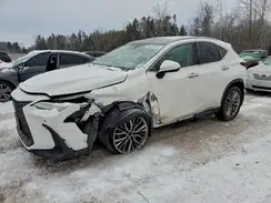 JTJGGCEZ4N2002491 2022 LEXUS NX