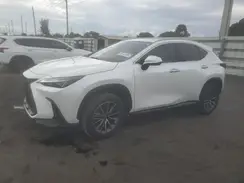 JTJGGCEZ4P2009461 2023 LEXUS NX