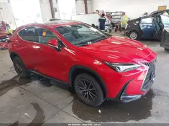 JTJGGCEZ4R2010760 2024 LEXUS NX