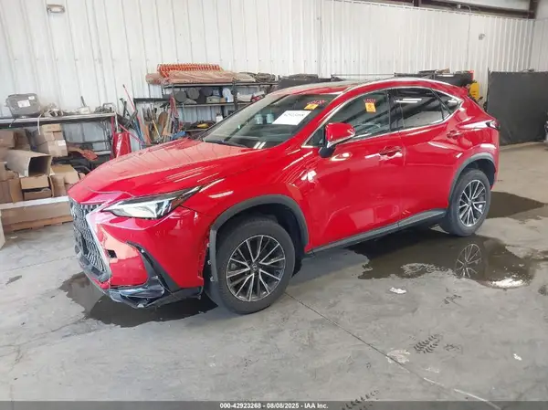 JTJGGCEZ4R2010760 2024 LEXUS NX - Image 2