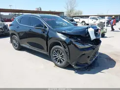 JTJGGCEZ4R5006271 2024 LEXUS NX