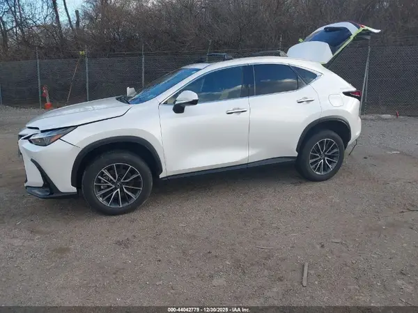 JTJGGCEZ4R5006917 2024 LEXUS NX - Image 2