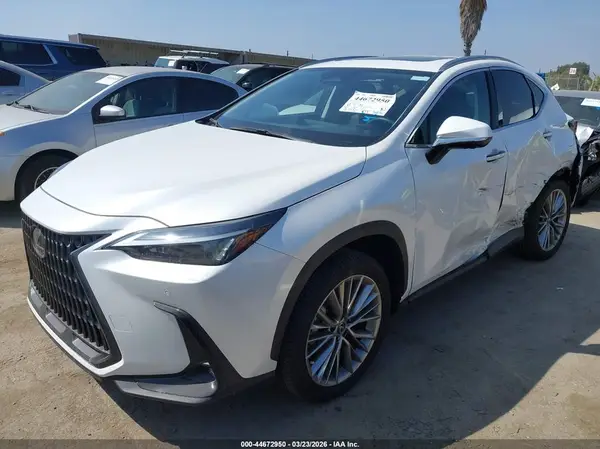 JTJGGCEZ4S5011508 2025 LEXUS NX - Image 2