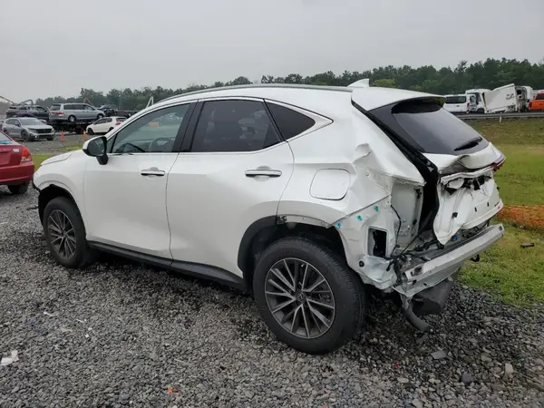 JTJGGCEZ6N2004016 2022 LEXUS NX - Image 2