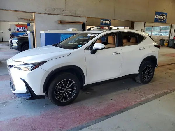 JTJGGCEZ6R2011148 2024 LEXUS NX - Image 1
