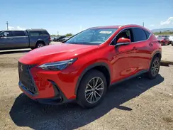 JTJGGCEZ6R2015068 2024 LEXUS NX
