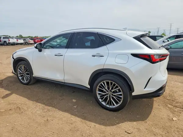 JTJGGCEZ8S2019175 2025 LEXUS NX - Image 2