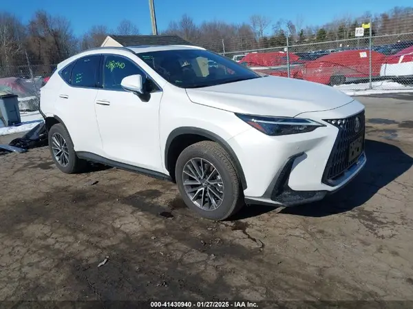 JTJGGCEZ9R5009876 2024 LEXUS NX - Image 1