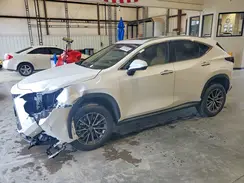 JTJGGCEZXR2017969 2024 LEXUS NX