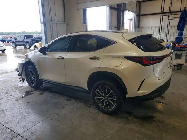 JTJGGCEZXR2017969 2024 LEXUS NX - Image 2
