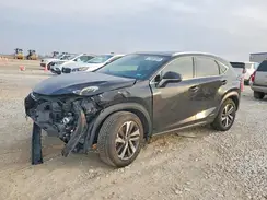 JTJGJRDZ0L2130181 2020 LEXUS NX