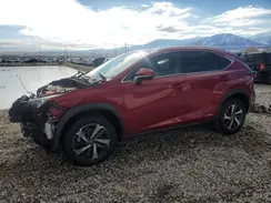 JTJGJRDZ0L2143996 2020 LEXUS NX