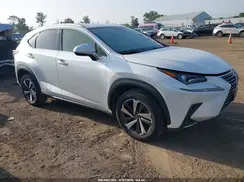 JTJGJRDZ0L5009035 2020 LEXUS NX