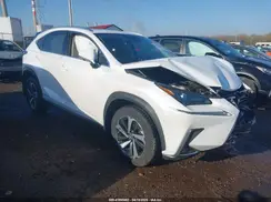 JTJGJRDZ0M5010607 2021 LEXUS NX