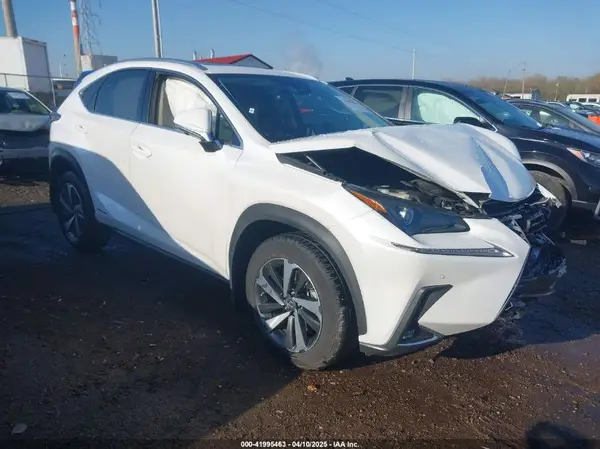 JTJGJRDZ0M5010607 2021 LEXUS NX - Image 1